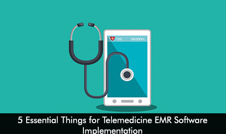 5 Essential Things for Telemedicine EMR Software Implementation