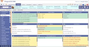 PrognoCIS EHR Software