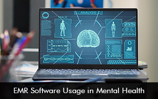 EMR Software Usage in Mental Health