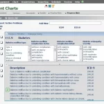 Greenway-Primesuite-EMR-Software-Patient-Chart