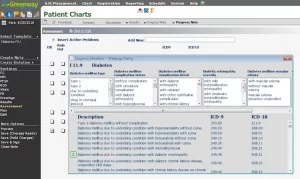 Greenway-Primesuite-EMR-Software-Patient-Chart