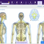 ModMed EMR Software Demo Showing Physical Exam