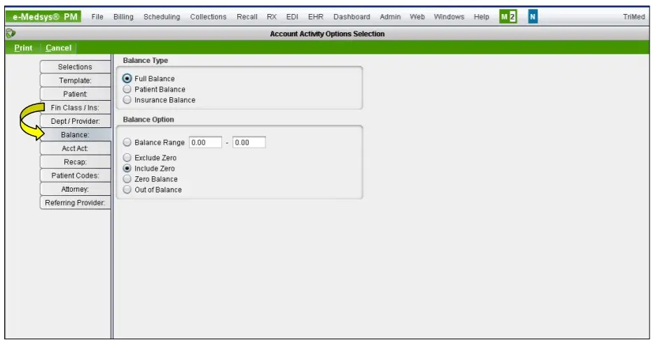e-Medsys-EMR-Software-by-TRIMED-Balance-Demo