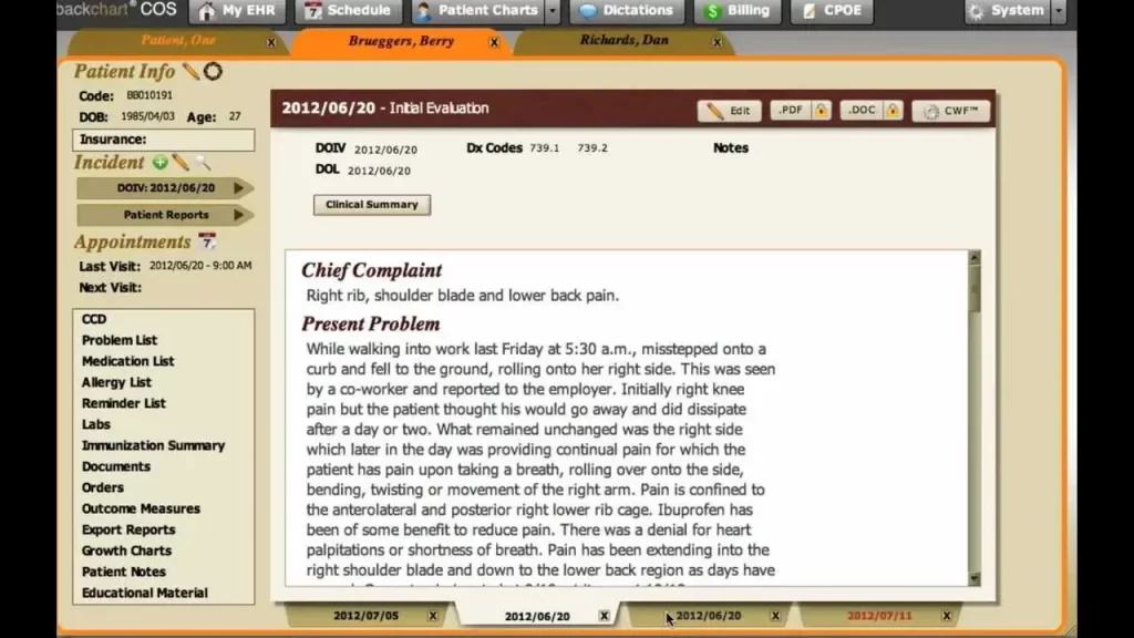 BackChart EHR software displays a patient's clinical summary, including medical history, chief complaint, and problem list dashboard.