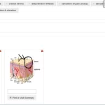 OneTouch-EMR-Practice-Management-Software-Vital-Assessment-Demo