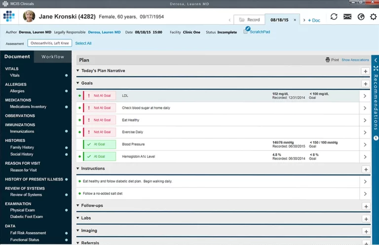 MCIS Clinicals EMR software patient's chart and treatment plan overview screenshot.