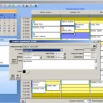 PlanetRehab EHR software patient incident appointment, and cancellation details dashboard screenshot.