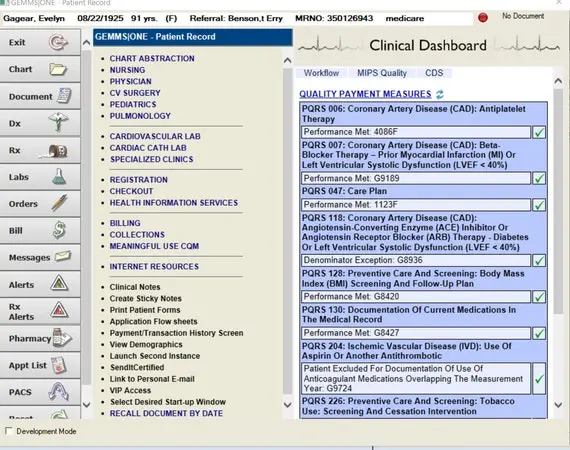 GEMMS ONE EHR software- practice management software- patient record dashboard screenshot.