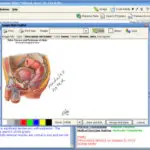 meridianEMR-Software-and-Practice-Management-Software
