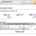 BreezyNotes-EMR-Software and practice management software