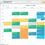 BreezyNotes-EMR-Software-Client-Appointments