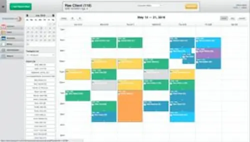 BreezyNotes-EMR-Software-Client-Appointments-Demo