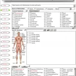 DocuTAP EMR software dashboard showing patient symptom checklist.