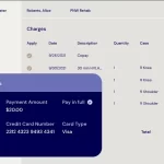 INSIGHT-EMR-Billing-Software-by-Clinicient-Payment-Details-Demo