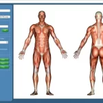 Quick charts EMR Software -chiroptic EHR software .
