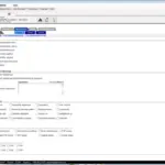 digiChart-EMR-software-physical-exam