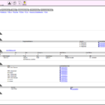 digiCharts EMR Software Patient Summary