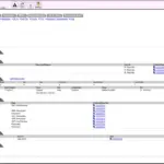 digiCharts-EMR-Software-Patient-Summary