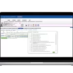 digichart-EMR-System-ob-flowsheet-interface