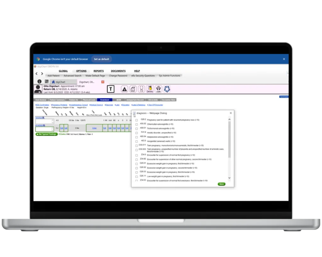 digichart-EMR-System-ob-flowsheet-interface