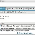 Falcon-Silver-Nephrology-EMR-Software-EHR-Patient-Portal-Demo.