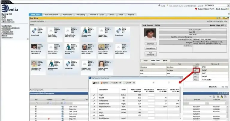 Essentia by Netsmart EHR Software Flow view dashboard