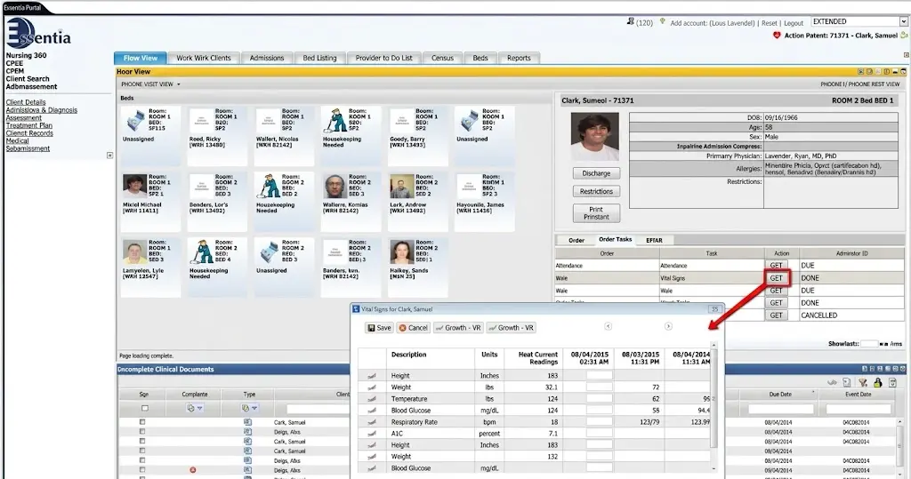 Essentia by Netsmart EHR Software Flow view dashboard