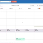 SimplePractice PM software, weekly appointment calendar and timeline dashboard screenshot.