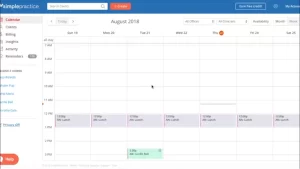 SimplePractice PM software, weekly appointment calendar and timeline dashboard screenshot.