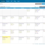 TherapyNotes EMR software scheduling clinicians monthly calendar dashboard screenshot.