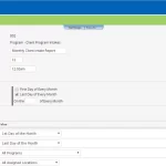 Welligent Behavioral EHR Software - practice management software