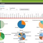 PointClickCare EMR Software - Analytics software