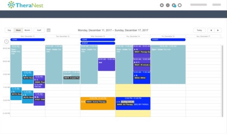 TheraNest EMR Software EHR and Practice Management Software