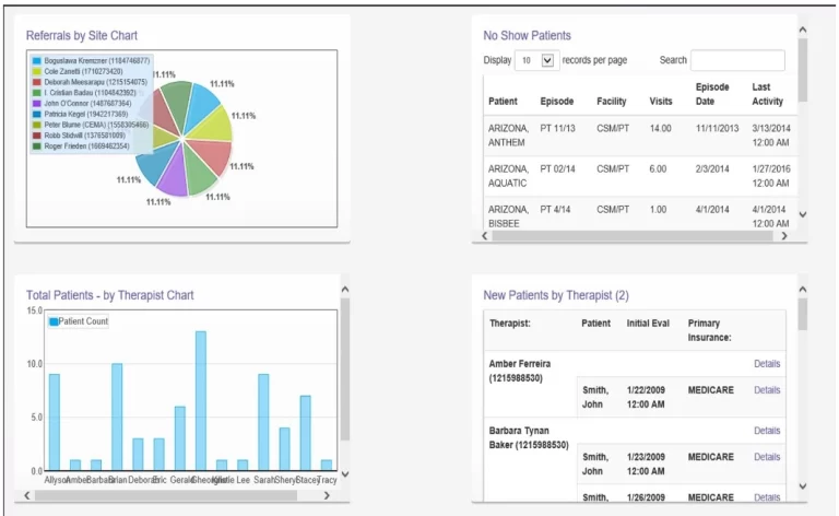 APTA-Connect-EMR-Practice-Management-Software-Referral-Chart.