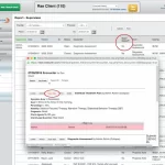 BreezyNotes-EMR-Software-Patient-Report-Supervisee
