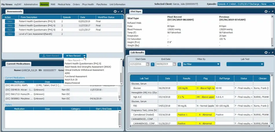 Netsmart-myAvatar-Suite-EMR-Software-Console-View