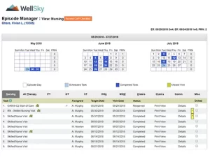 WellSky-Home-Health-EMR-Software-Nursing-View