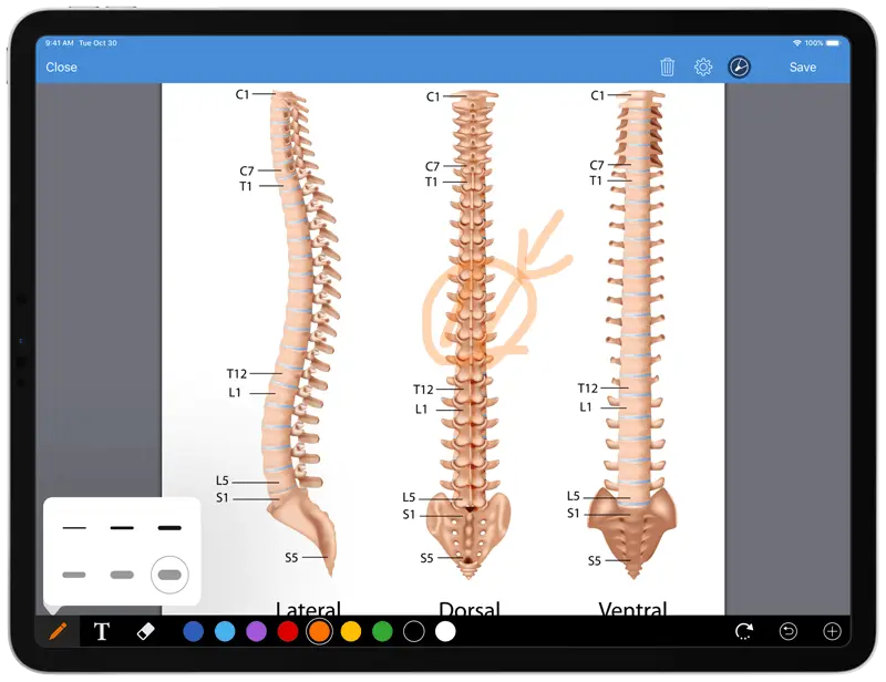 DrChrono EMR Software—Chiropractic EMR Software demo screenshot