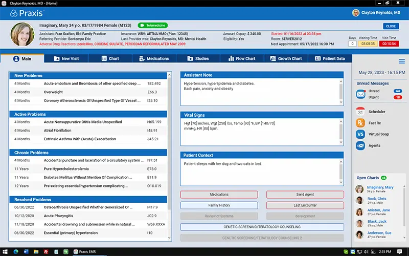 Praxis Alternative and Holistic EMR Software demo screenshot